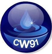 Logo CW91 Website et dépannage informatique Essonne